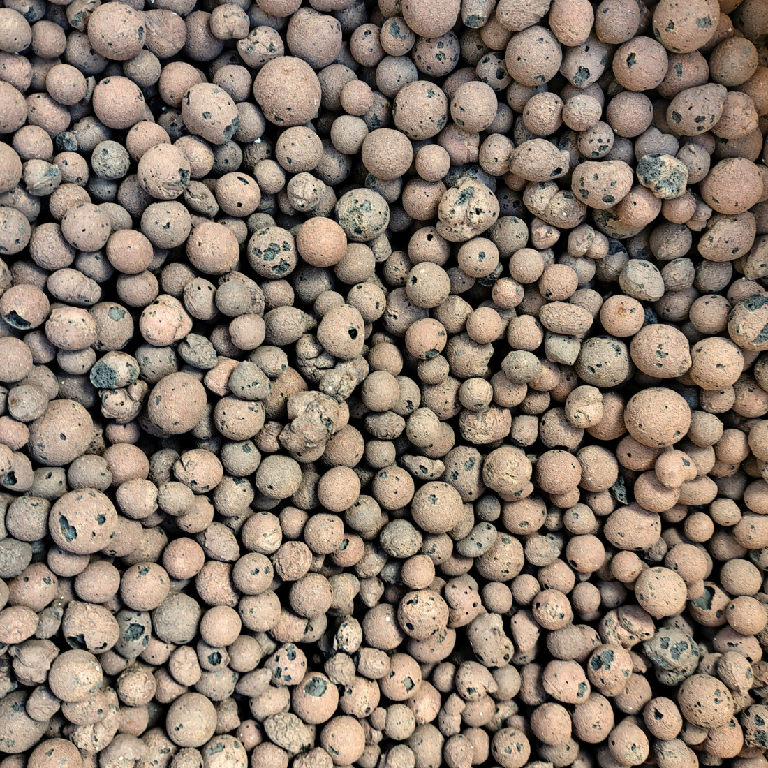 LECA Clay Balls for Indoor Plants | Semi Hydro Clay Pebbles