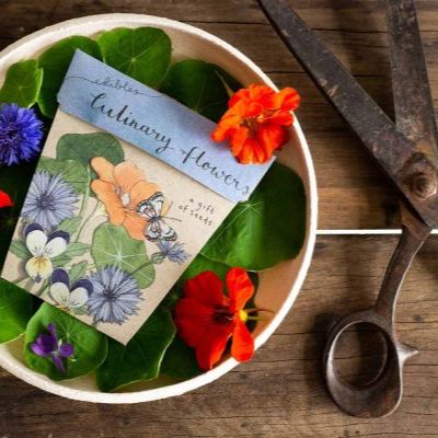 A Gift of Seeds - Culinary Flowers Seeds Sow 'n Sow