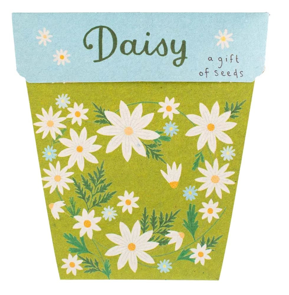A Gift of Seeds - Daisy Seeds Sow 'n Sow