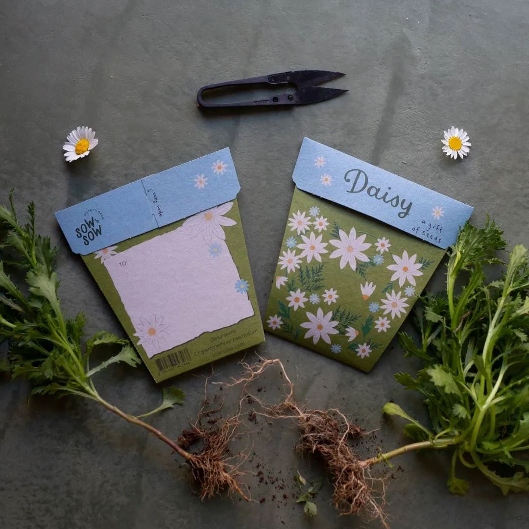A Gift of Seeds - Daisy Seeds Sow 'n Sow