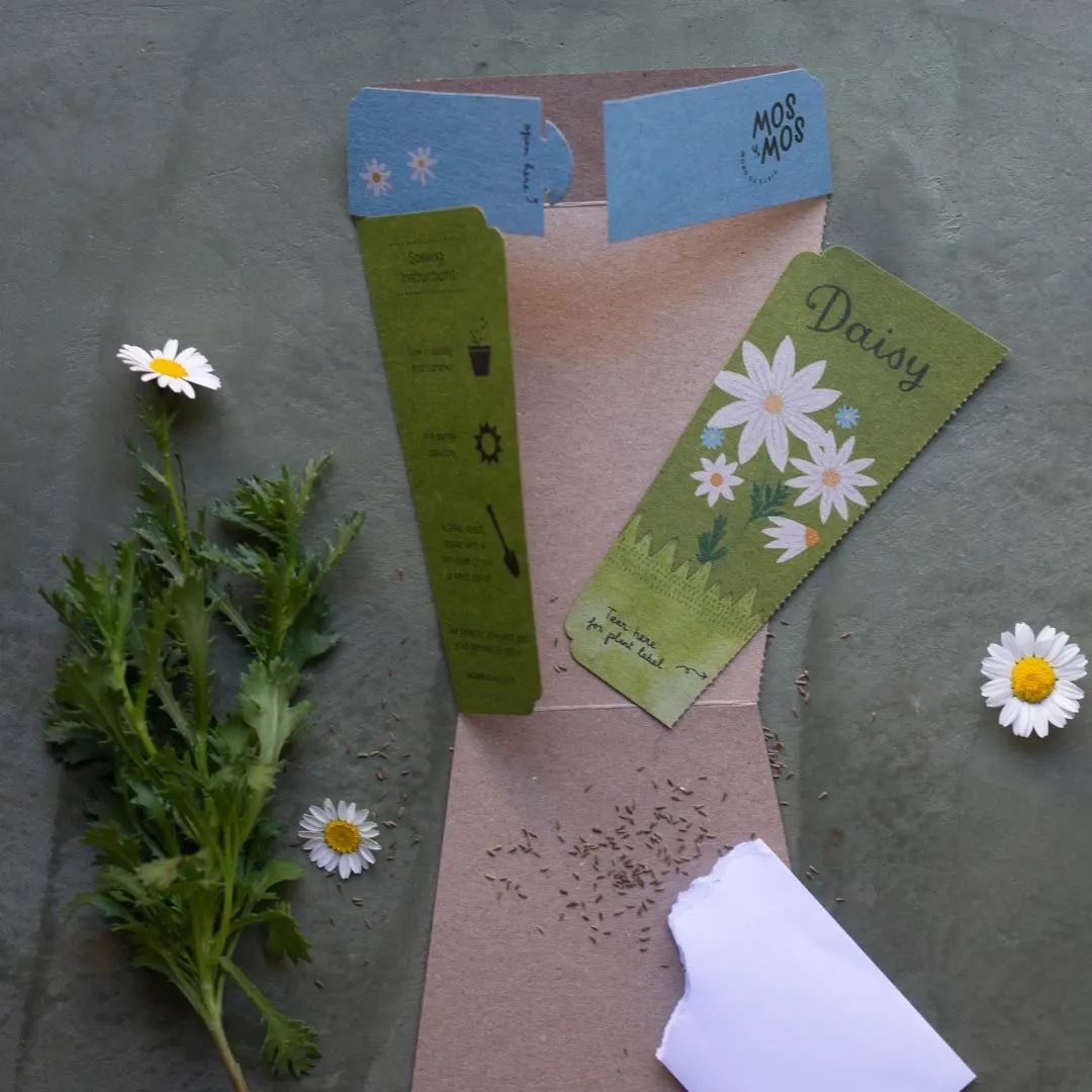 A Gift of Seeds - Daisy Seeds Sow 'n Sow