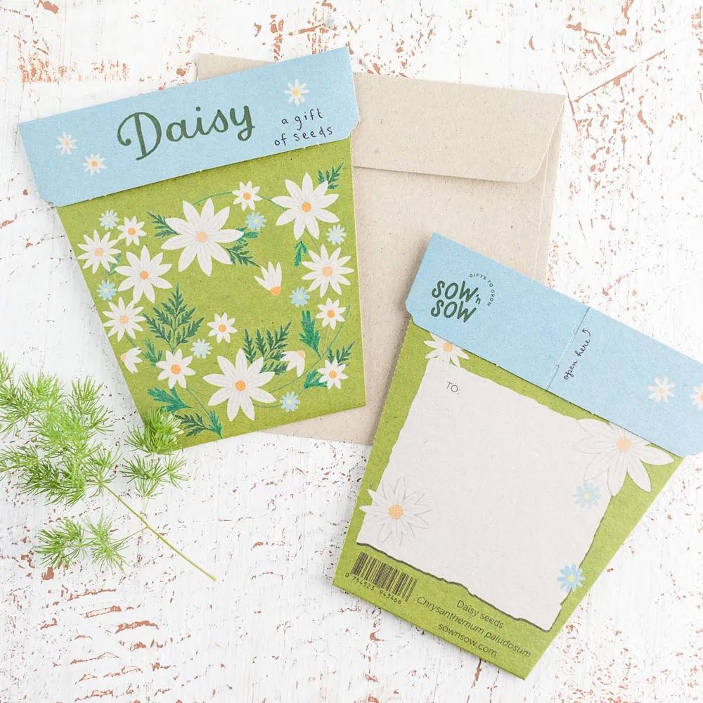 A Gift of Seeds - Daisy Seeds Sow 'n Sow