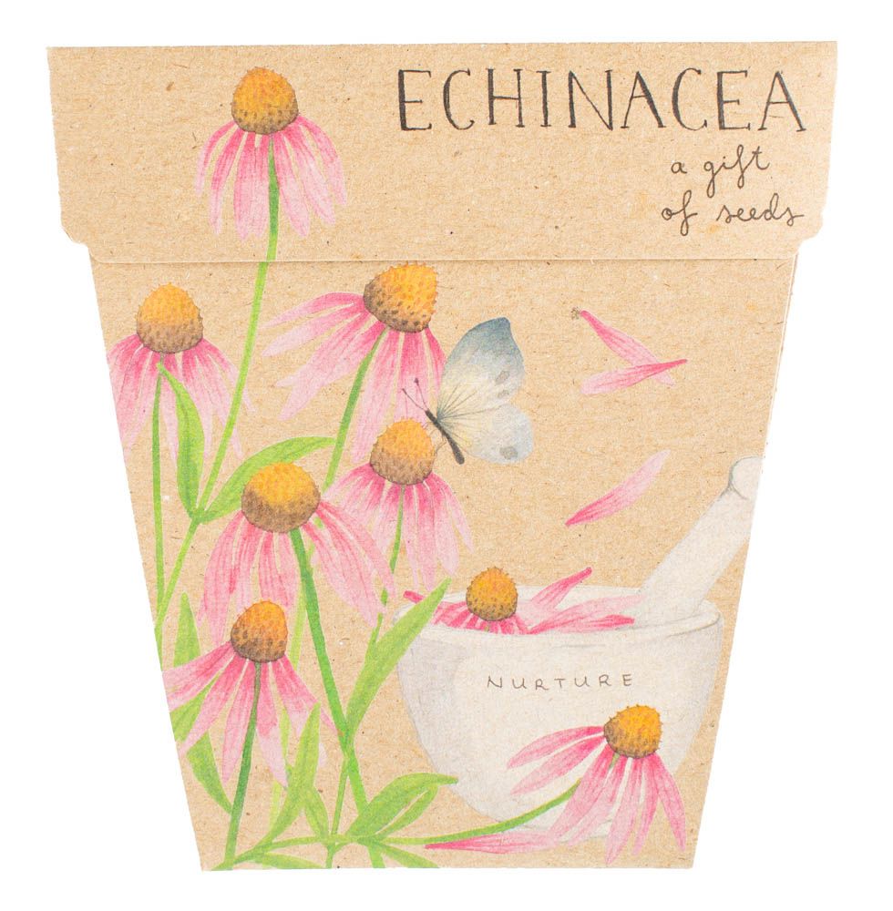 A Gift of Seeds - Echinacea Seeds Sow 'n Sow