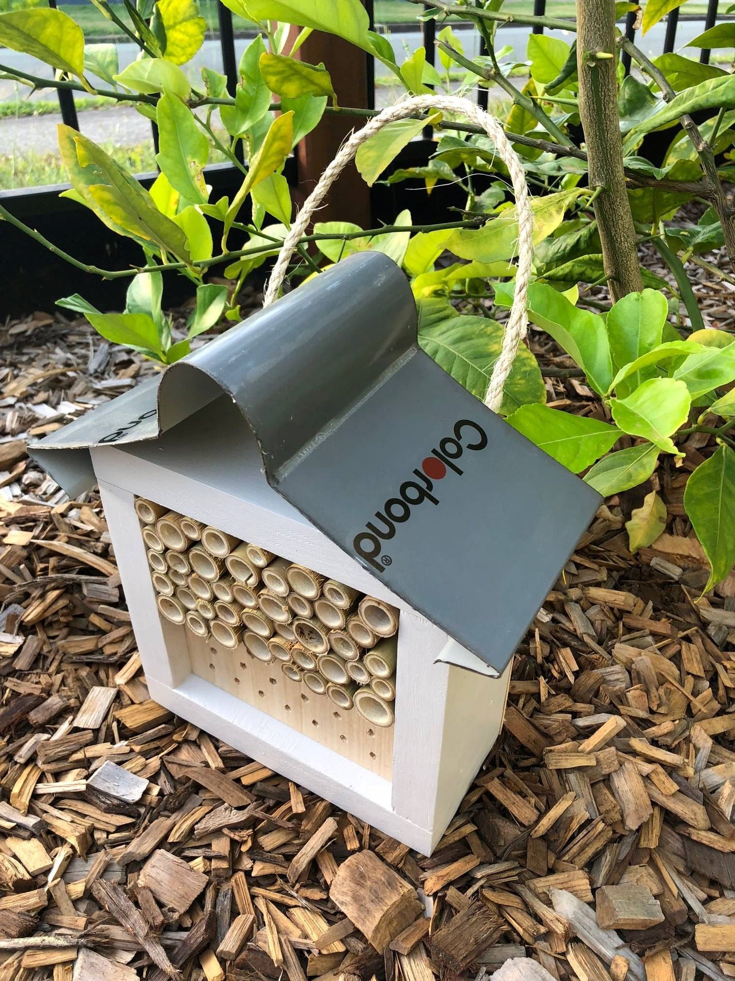 ABeeC Hives Solitary Native Bee Hotel Australian Ladybird and Insect House - Painted Bee Hotel ABeeC Hives