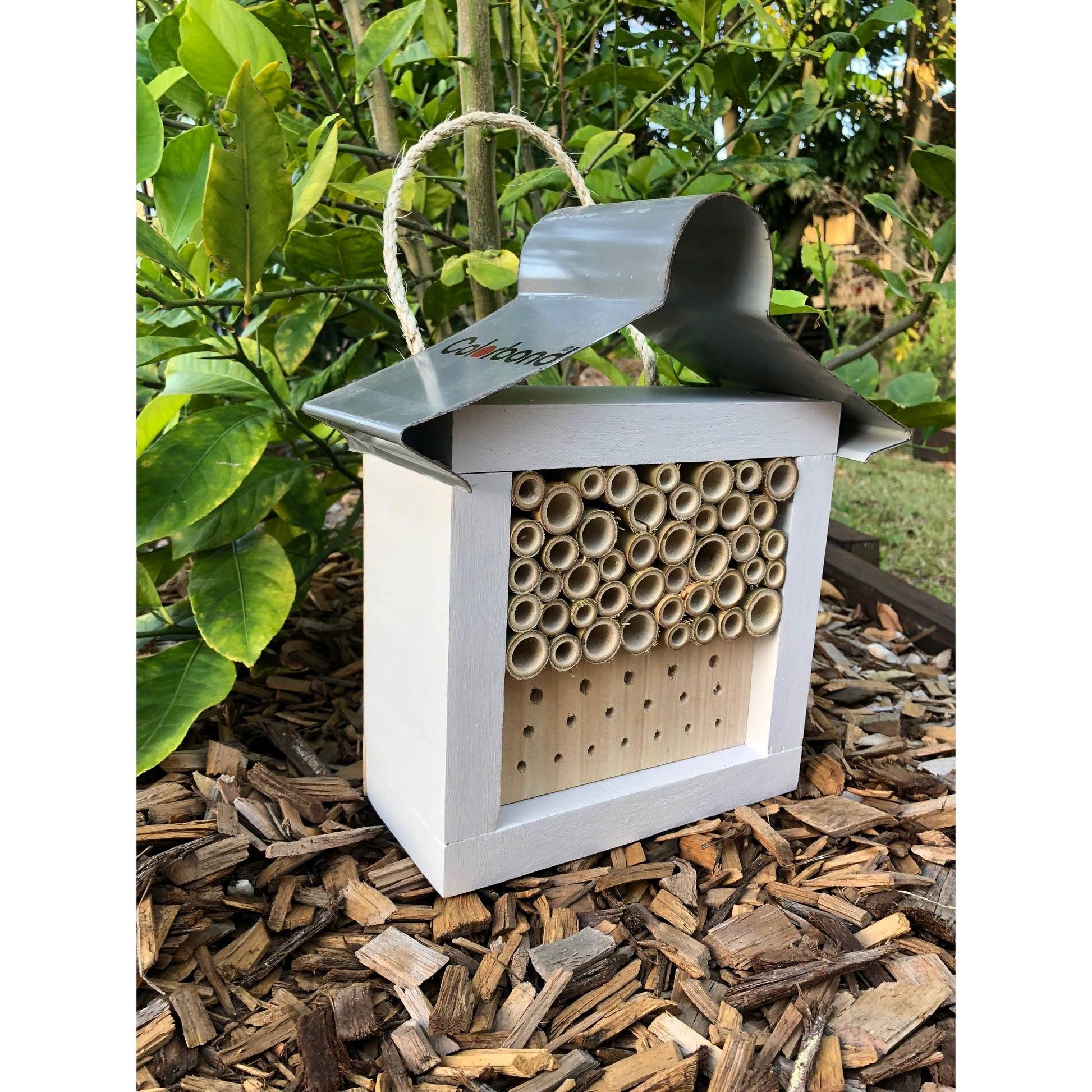 ABeeC Hives Solitary Native Bee Hotel Australian Ladybird and Insect House - Painted Bee Hotel ABeeC Hives