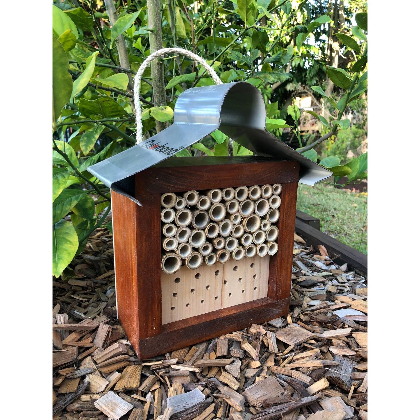 ABeeC Hives Solitary Native Bee Hotel Australian Ladybird and Insect House - Stained Bee Hotel ABeeC Hives