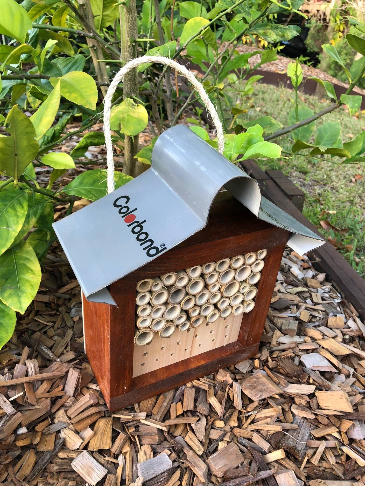 ABeeC Hives Solitary Native Bee Hotel Australian Ladybird and Insect House - Stained Bee Hotel ABeeC Hives