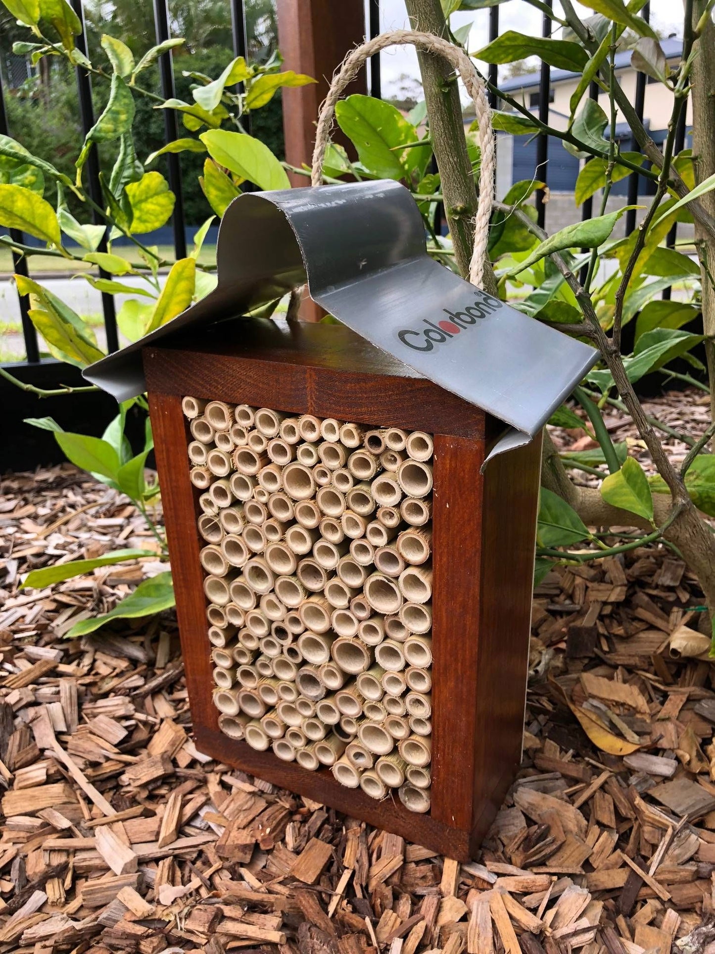 ABeeC Hives Solitary Native Bee Hotel - Stained/All Bamboo (Large) Bee Hotel ABeeC Hives