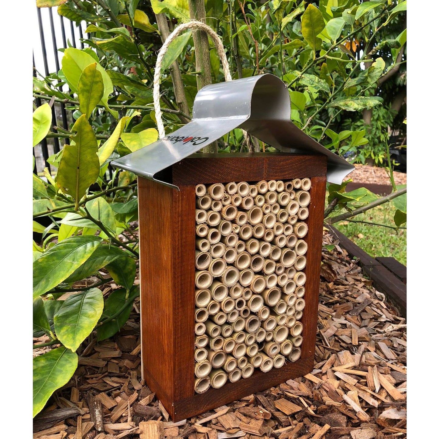 ABeeC Hives Solitary Native Bee Hotel - Stained/All Bamboo (Large) Bee Hotel ABeeC Hives