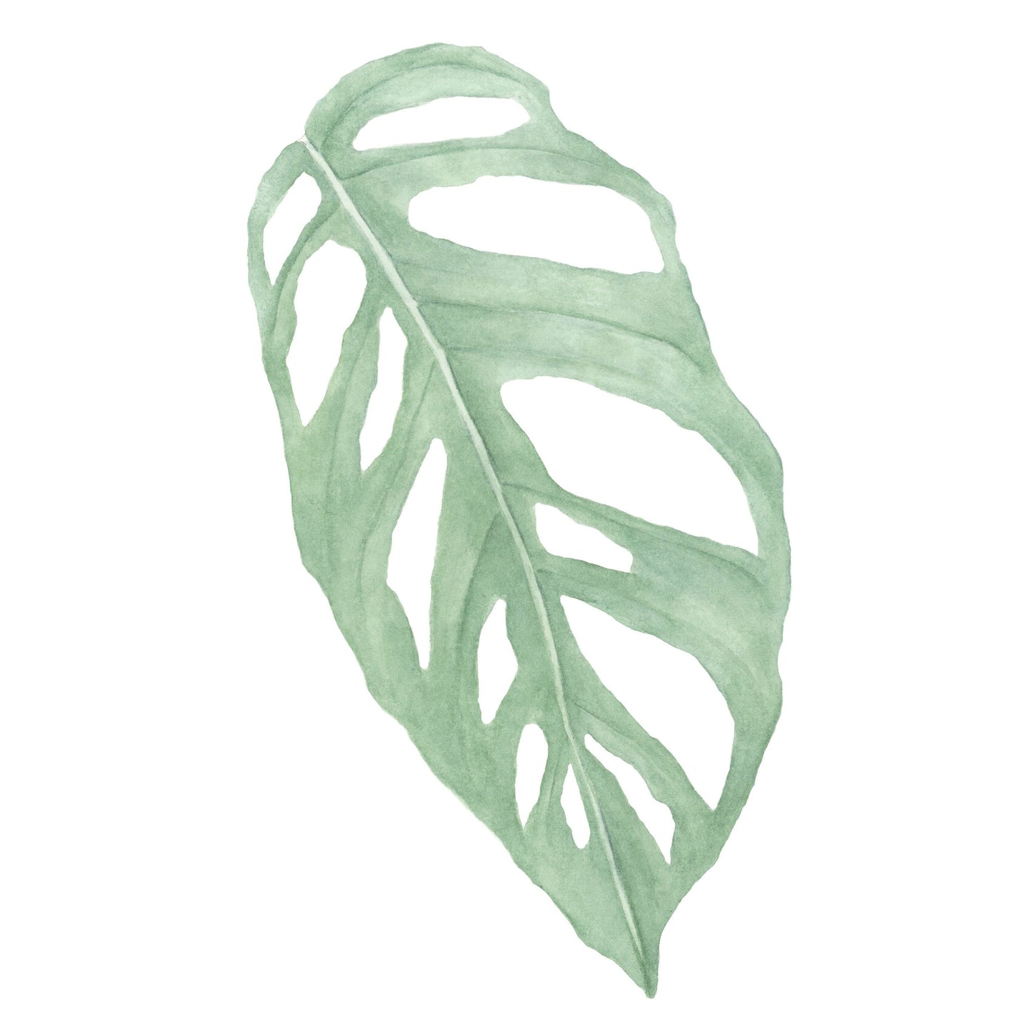 Adansonii Print Print Plant Folk Store