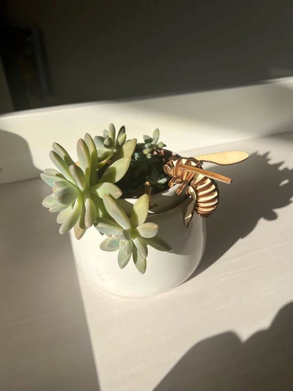 Bee Bud DIY Kit Bee Bud CUP O FLORA®