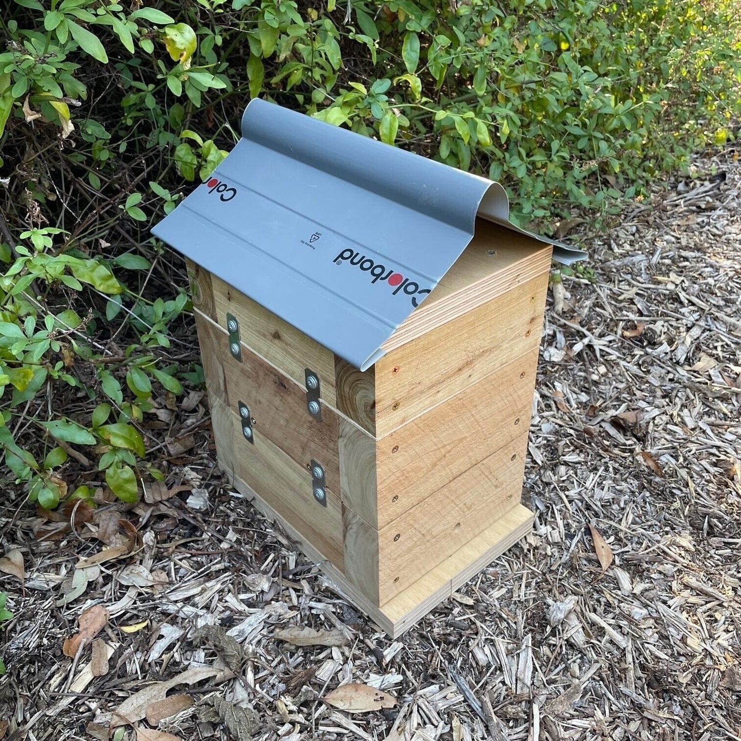 Beloved Bees 50mm Cypress Pine Rough Sawn Stingless Australian Native Bush Bee Box Hive Native Beehive Beloved Bees