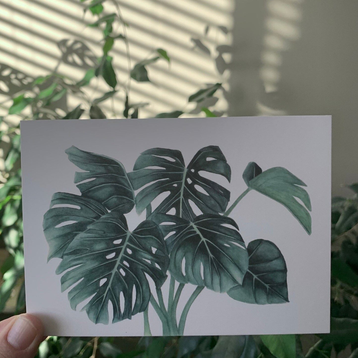 Botanical Post Cards - Set of 5 Post Cards Hayley Morgan - Art Botanic