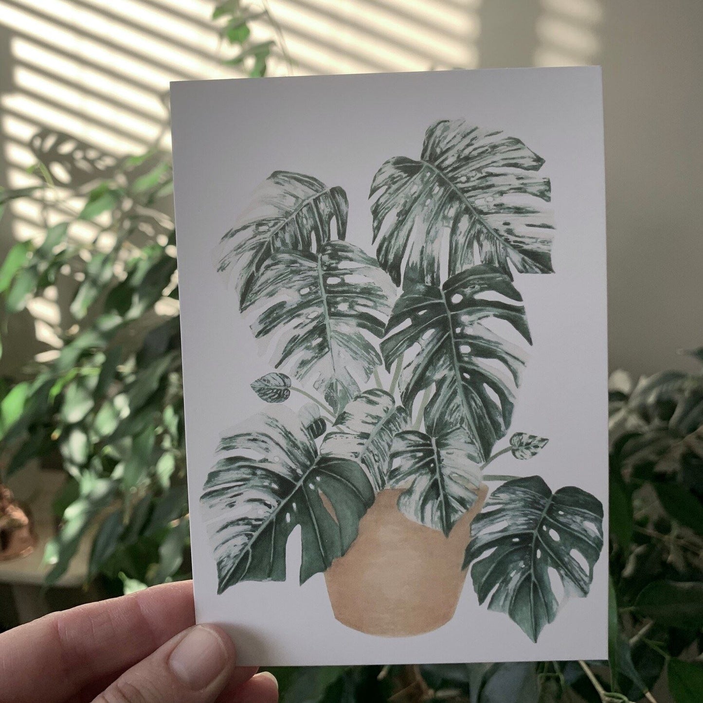 Botanical Post Cards - Set of 5 Post Cards Hayley Morgan - Art Botanic