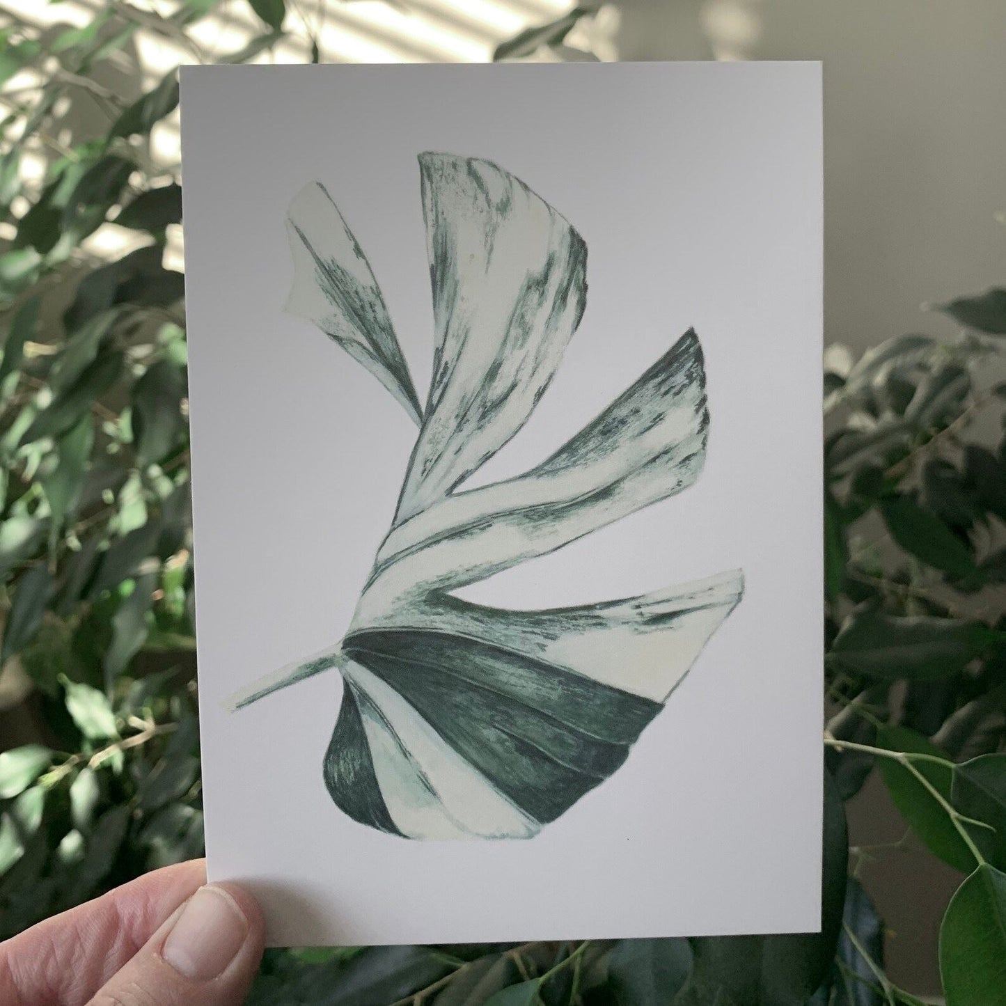 Botanical Post Cards - Set of 5 Post Cards Hayley Morgan - Art Botanic