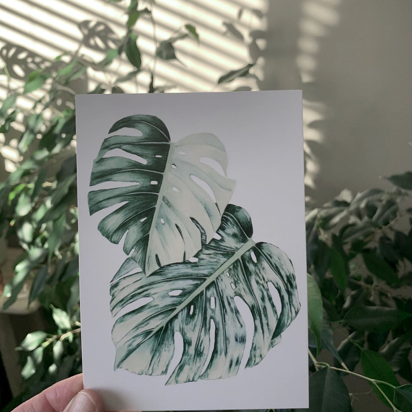 Botanical Post Cards - Set of 5 Post Cards Hayley Morgan - Art Botanic