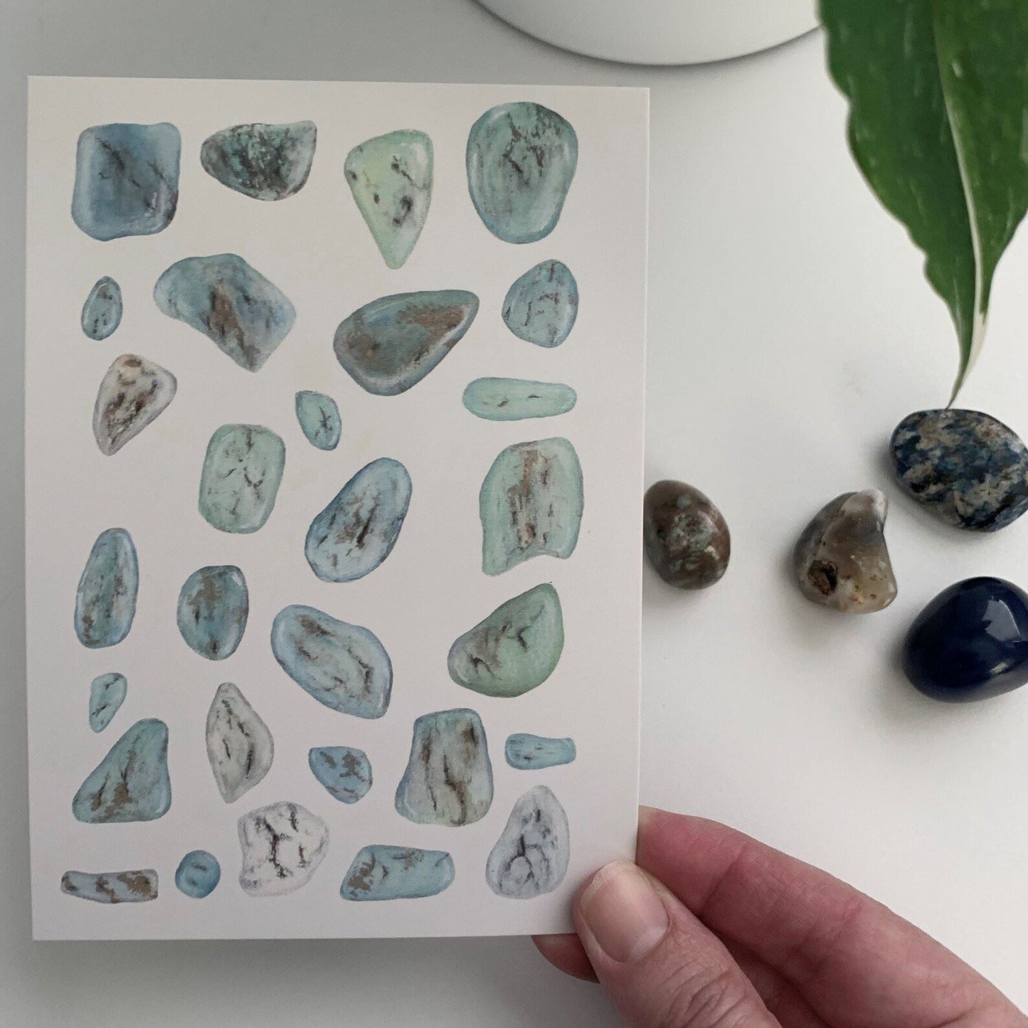 Botanical Post Cards - Set of 5 Post Cards Hayley Morgan - Art Botanic