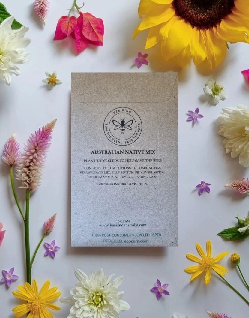 Christmas Koala - Australian Wildflower Seeds Seeds Bee Kind Australia