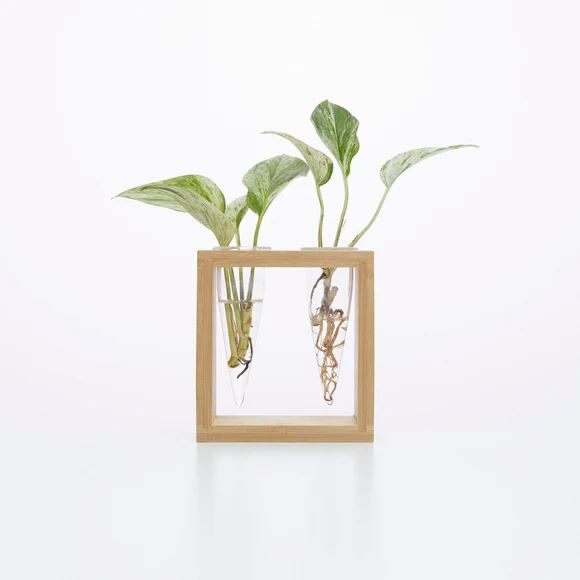 Cup O Flora Proppi 2 Propagation Station Propagation Stand CUP O FLORA®