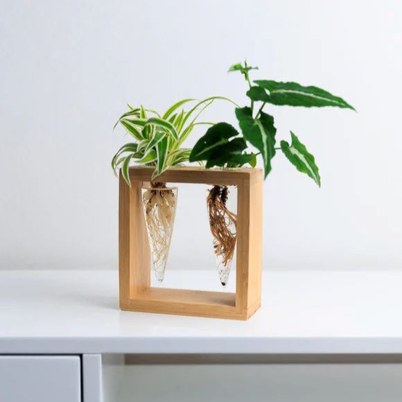 Cup O Flora Proppi 2 Propagation Station Propagation Stand CUP O FLORA®