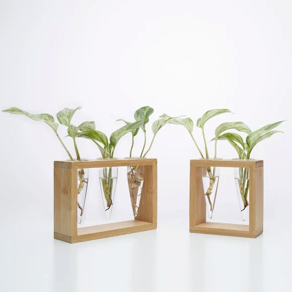 Cup O Flora Proppi 2 Propagation Station Propagation Stand CUP O FLORA®