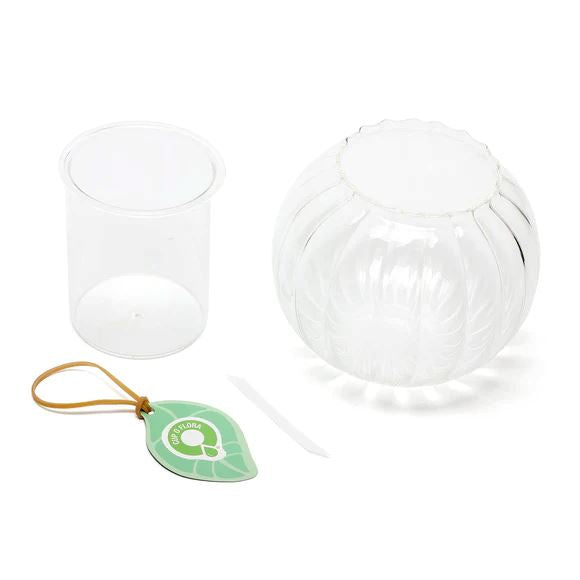 Cup O Flora Ribbed Self-Watering Glass Planter - Medium Self-watering Pot CUP O FLORA®