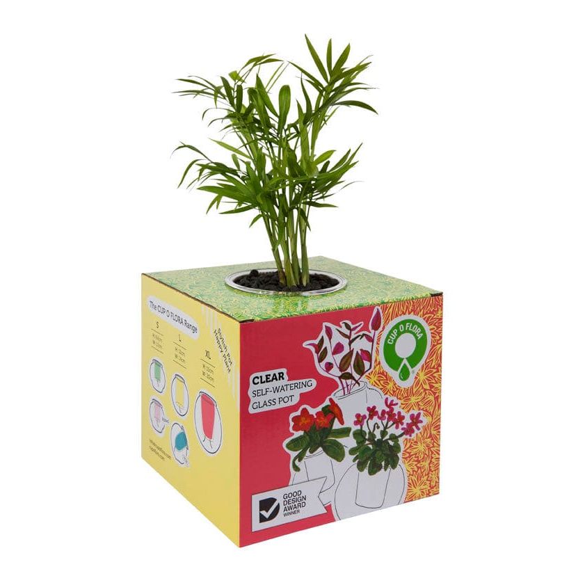 Cup O Flora Tilt Self-Watering Glass Planter - Medium (Clear, Amber or Green) Self-watering Pot CUP O FLORA®