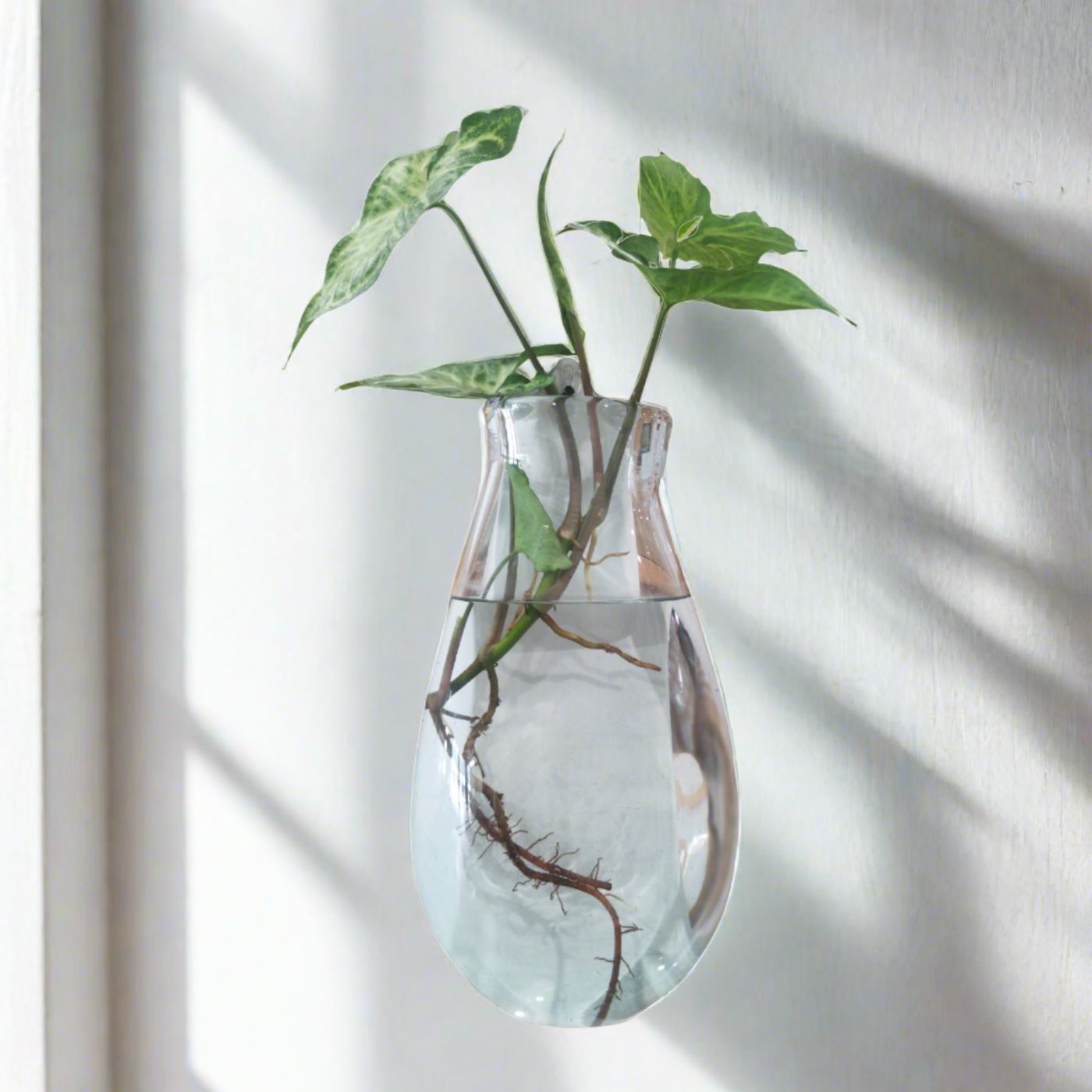 Handblown Recycled Glass Wall Vase - Large Glass Wall Vase Plant Folk Store