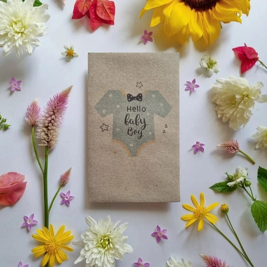 'Hello Baby Boy' Flower Seeds Seeds Bee Kind Australia