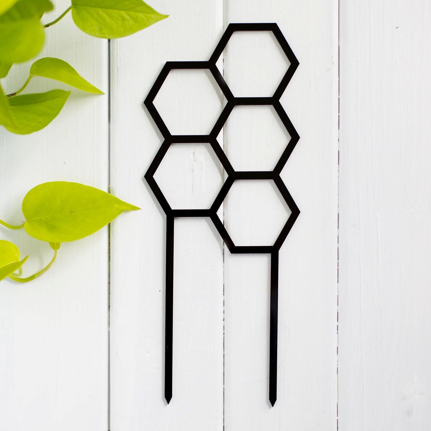 Honey's Coloured Hex Plant Climber - Black Plant Climber Honey's Plant Climbers