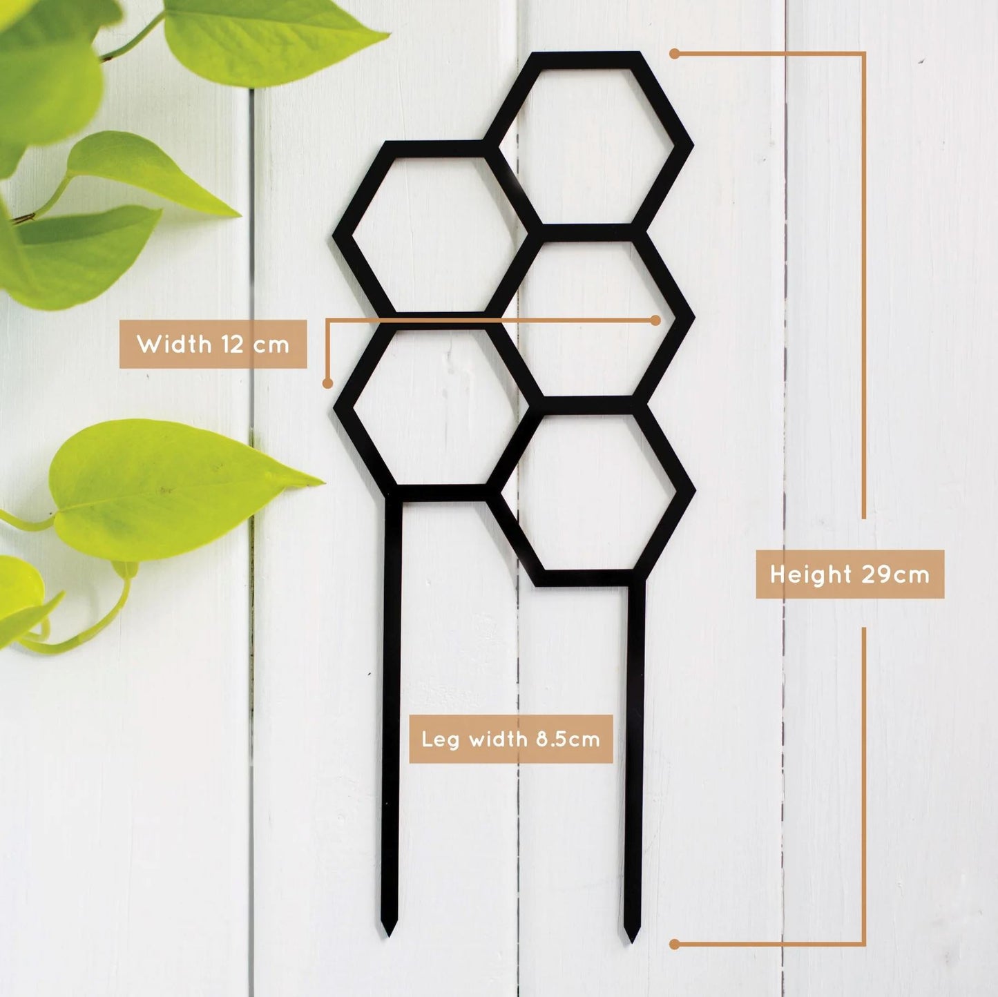 Honey's Coloured Hex Plant Climber - Black Plant Climber Honey's Plant Climbers