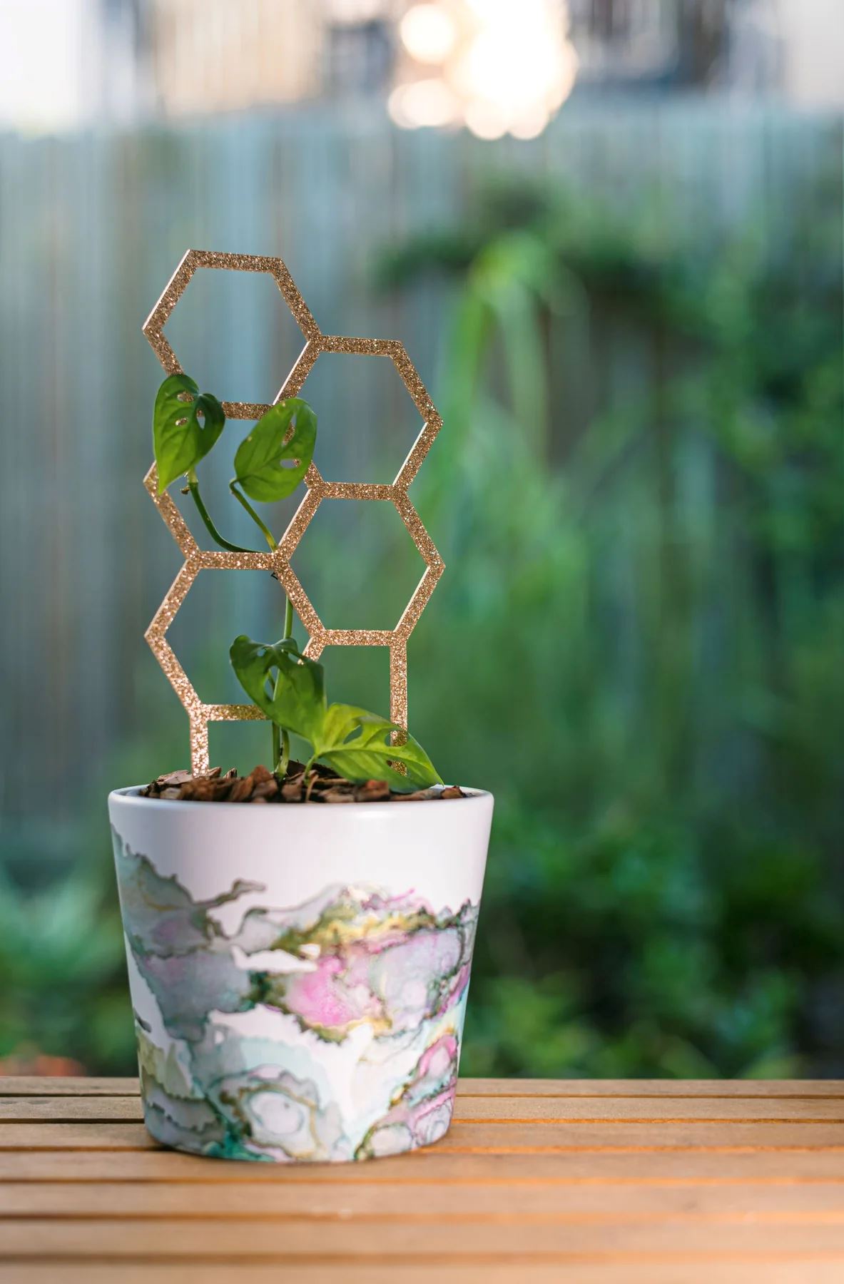 Honey's Glitter Hex Plant Climber - Gold Plant Climber Honey's Plant Climbers