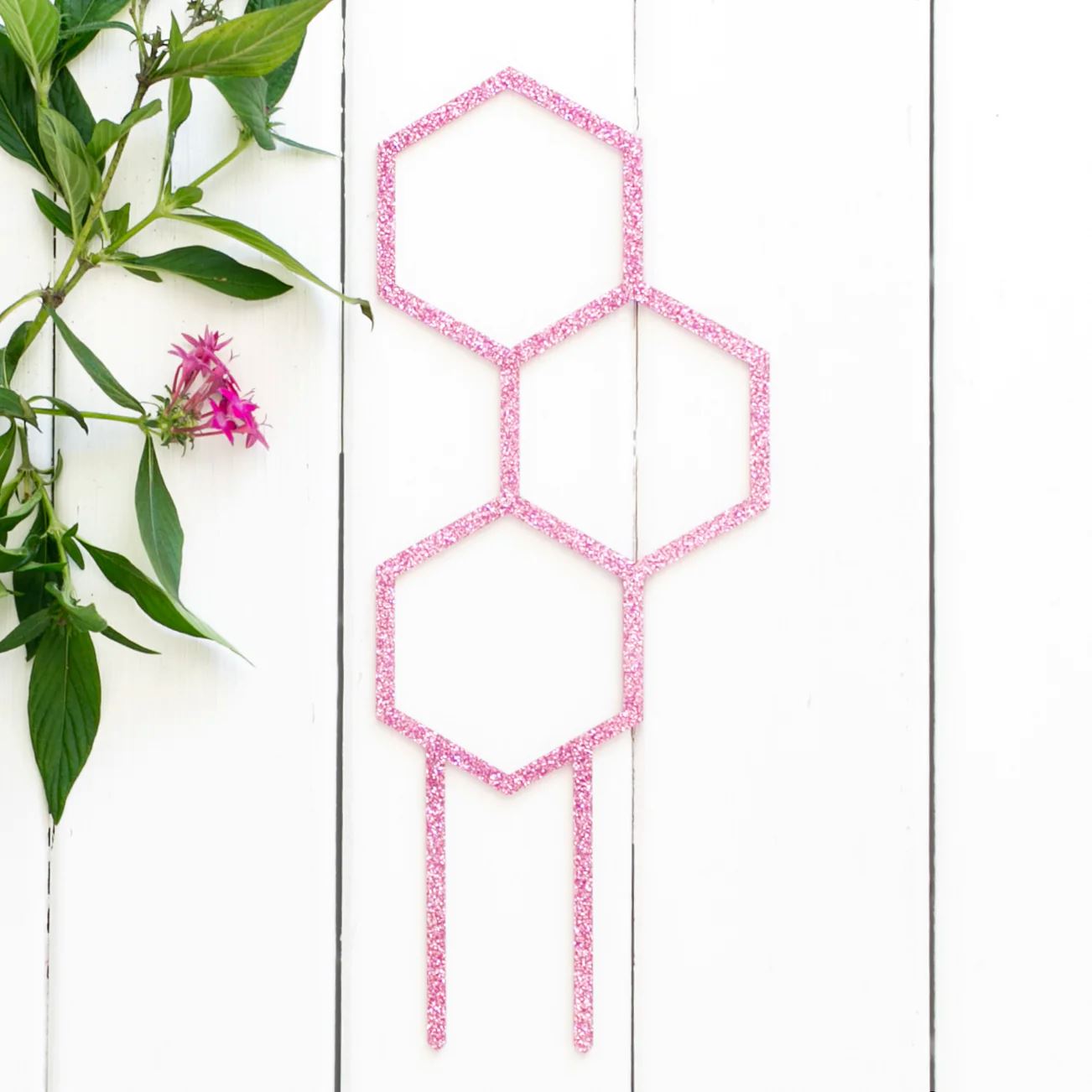 Honey's Glitter Pollen Plant Climber - Pink Plant Climber Honey's Plant Climbers
