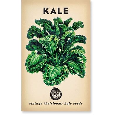 Kale 'Dwarf Blue' Heirloom Seeds Vegetable Seeds The LIttle Vege Patch Co