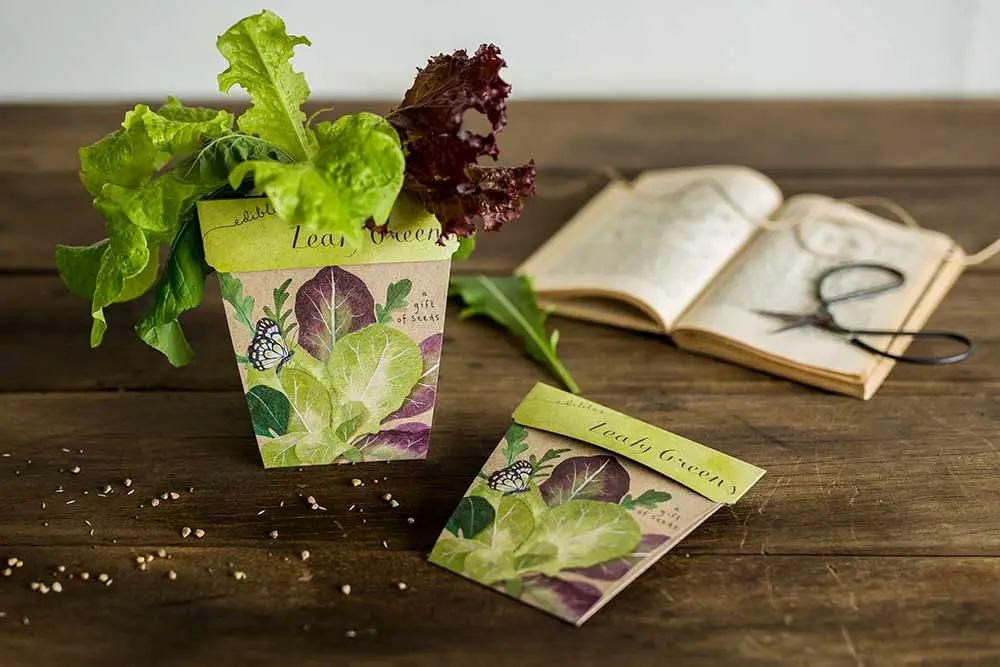 Leafy Greens Gift of Seeds Seeds Sow 'n Sow