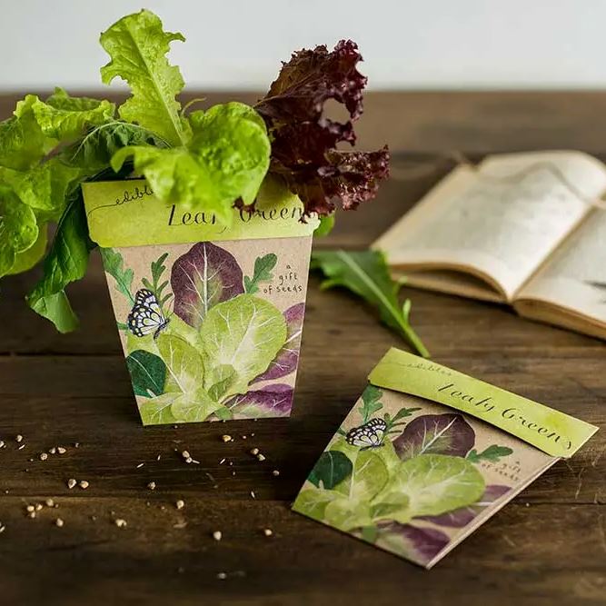 Leafy Greens Gift of Seeds Seeds Sow 'n Sow