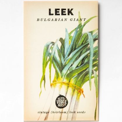 Leek 'Giant Bulgarian" Heirloom Seeds Vegetable Seeds The LIttle Vege Patch Co