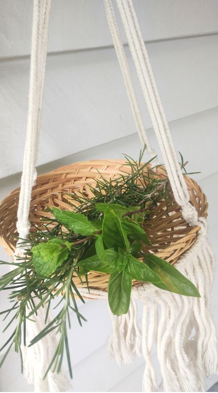 Macrame Hanging Basket Macrame Hanging Planter Plant Folk