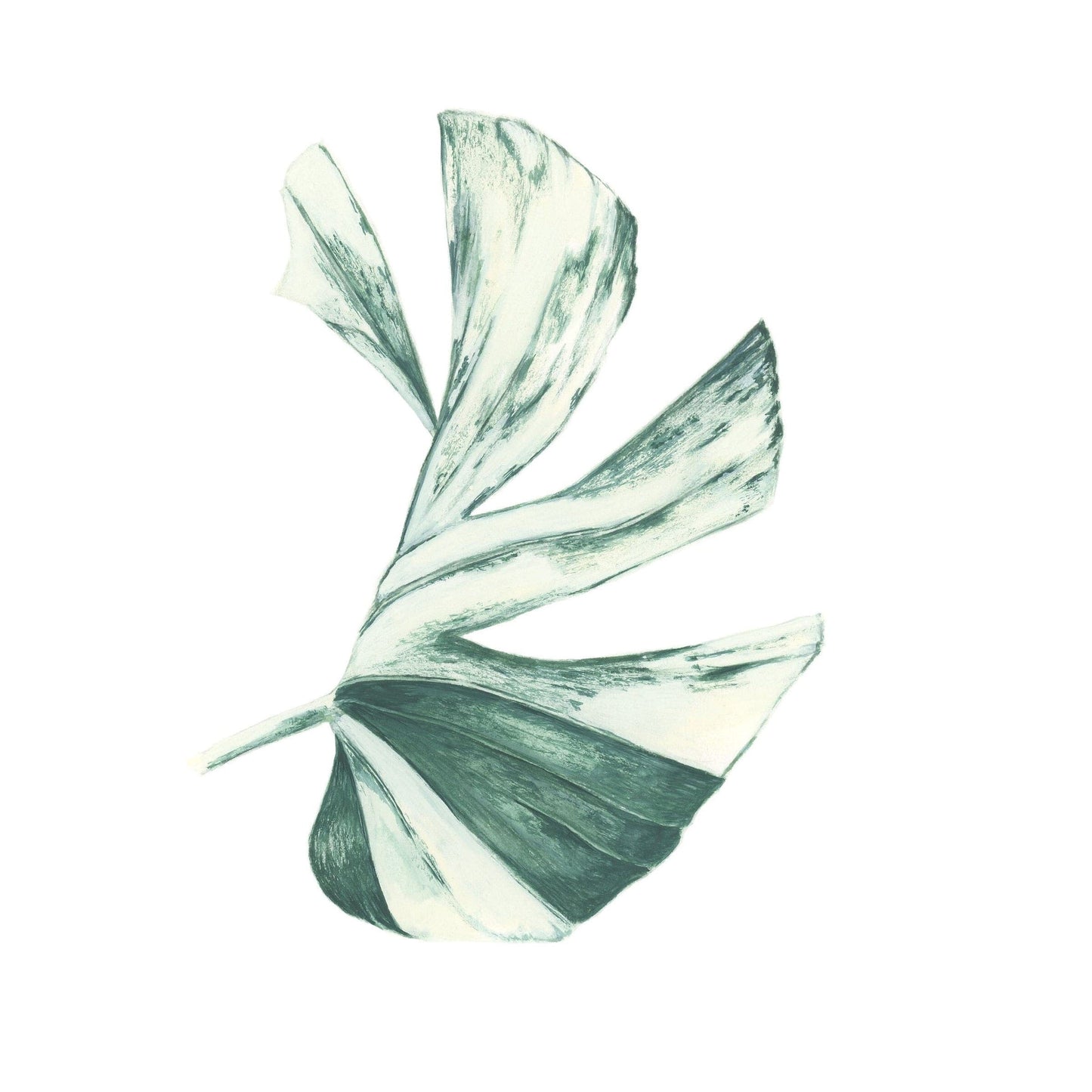 Monstera Albo Print Print Plant Folk Store
