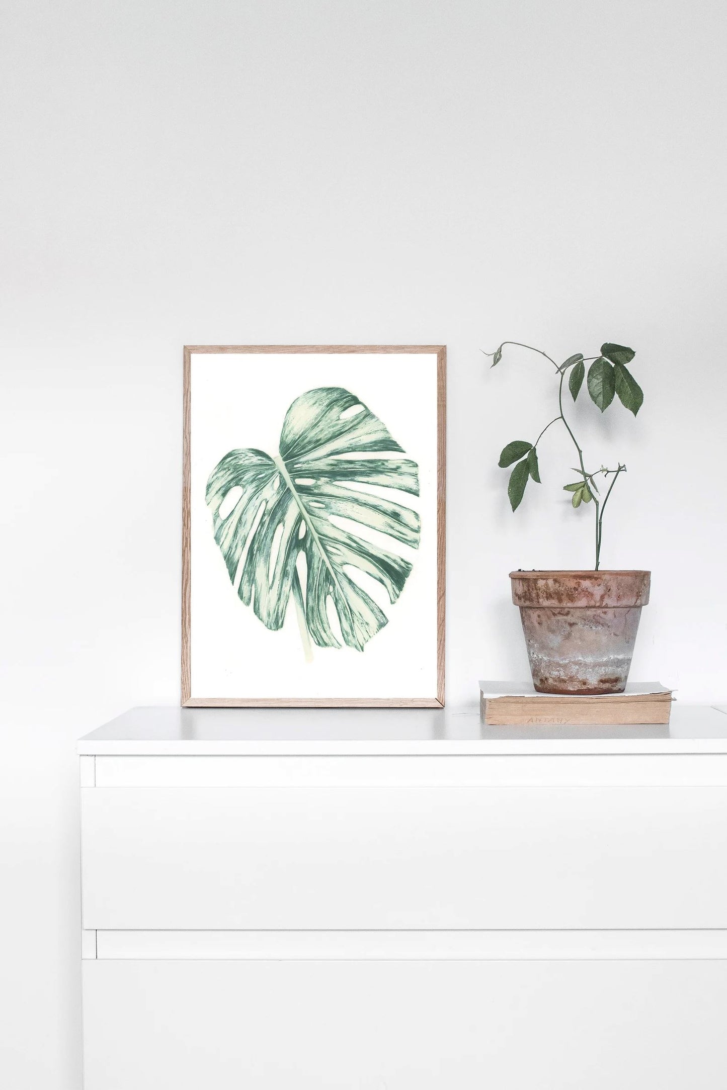 Monstera Leaf Print Print Plant Folk Store