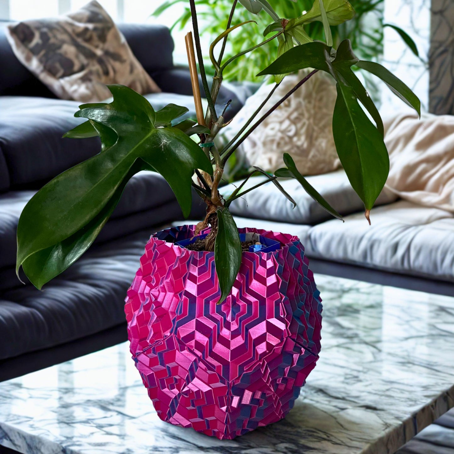 Noa Vase Bicolor - Blue & Pink simple My Store