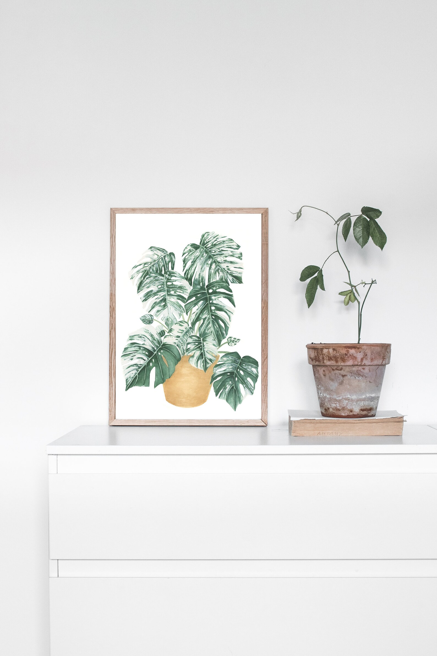 Potted Monstera Plant Print