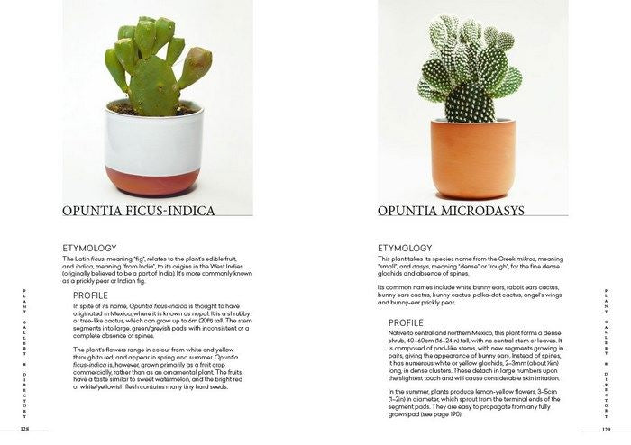 Prick - Cacti & Succulents: Choosing, Styling, Caring | Hardcover Book Beaglier Books