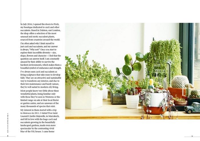 Prick - Cacti & Succulents: Choosing, Styling, Caring | Hardcover Book Beaglier Books