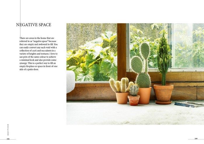 Prick - Cacti & Succulents: Choosing, Styling, Caring | Hardcover Book Beaglier Books