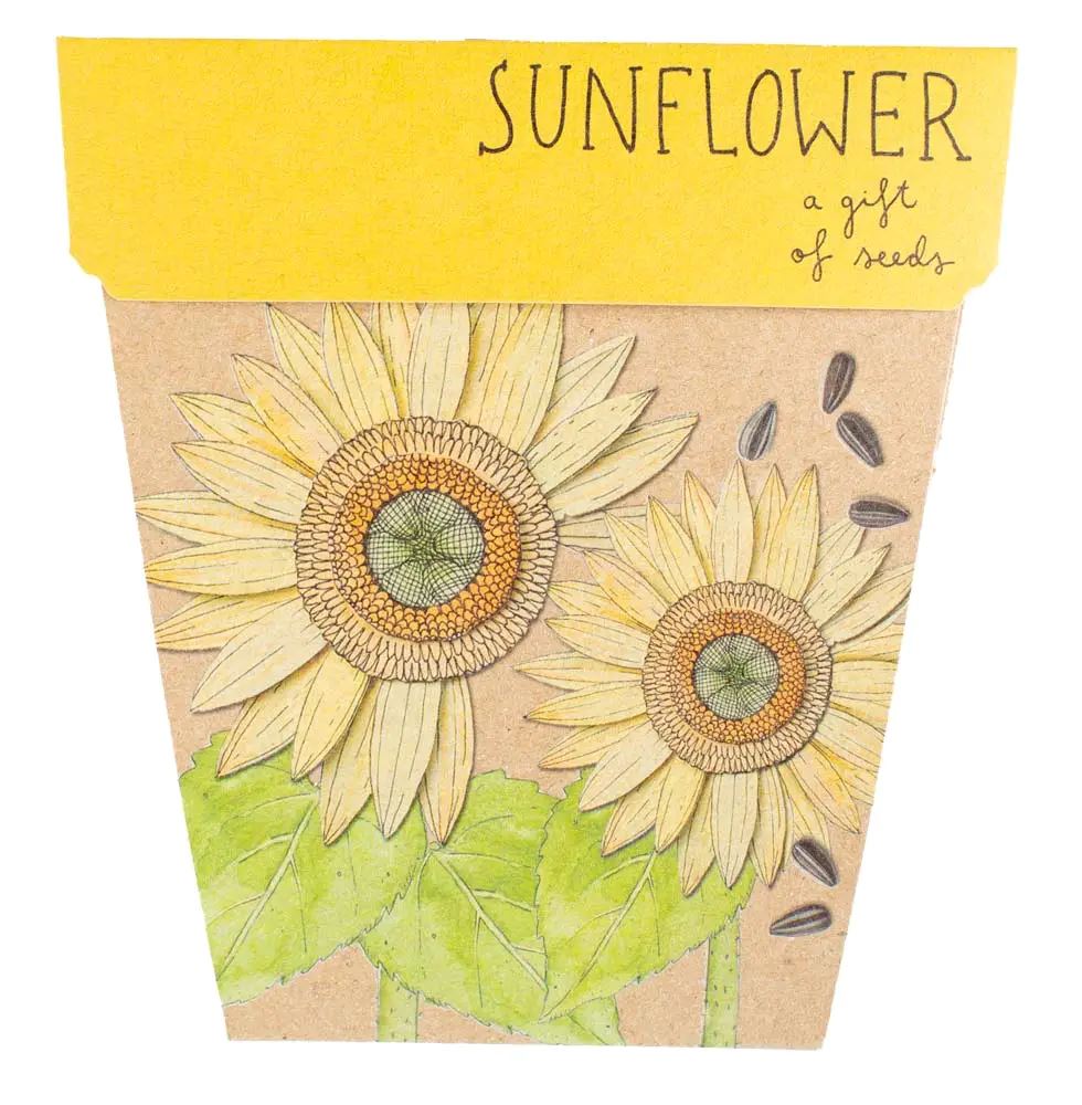 Sunflower Gift of Seeds Seeds Sow 'n Sow