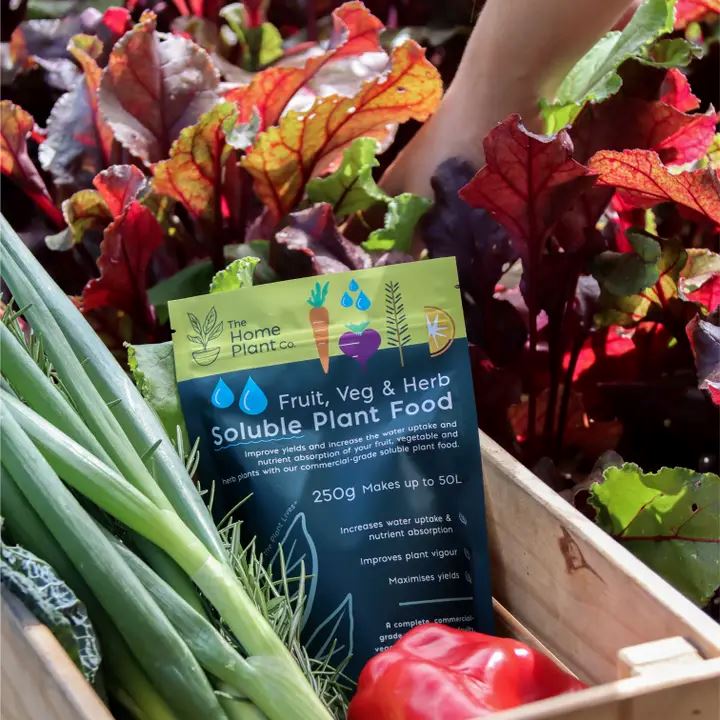The Home Plant Co. Fruit Vege & Herb Soluble Plant Food Potting Mix The Home Plant Co.