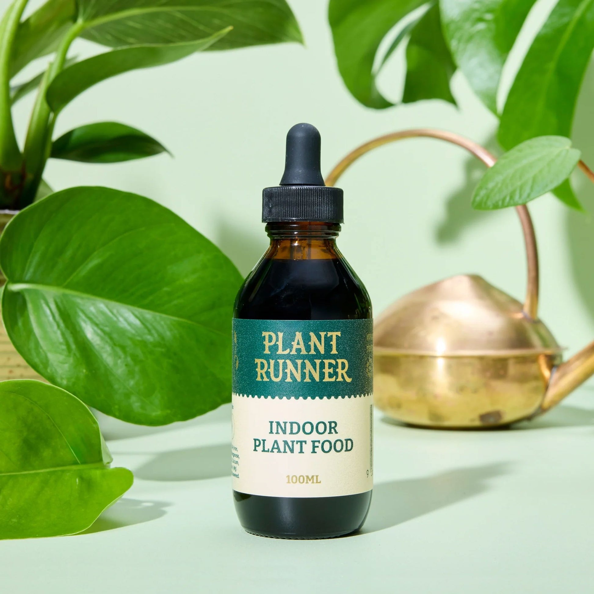 The Plant Runner Indoor Plant Food - 100ml Plant Food The Plant Runner