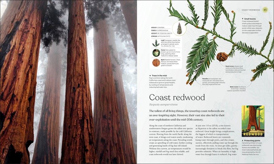 The Tree Book | Hardcover Bookmark Beaglier Books