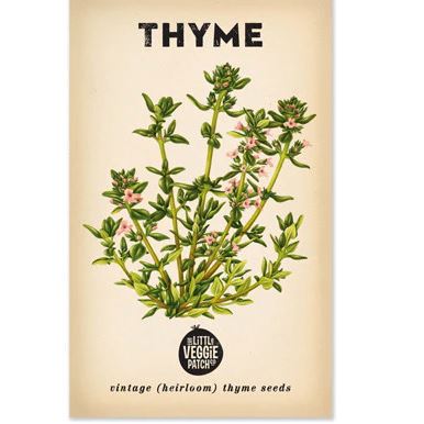 Thyme "Summer" Heirloom Seeds Herb Seeds The LIttle Vege Patch Co